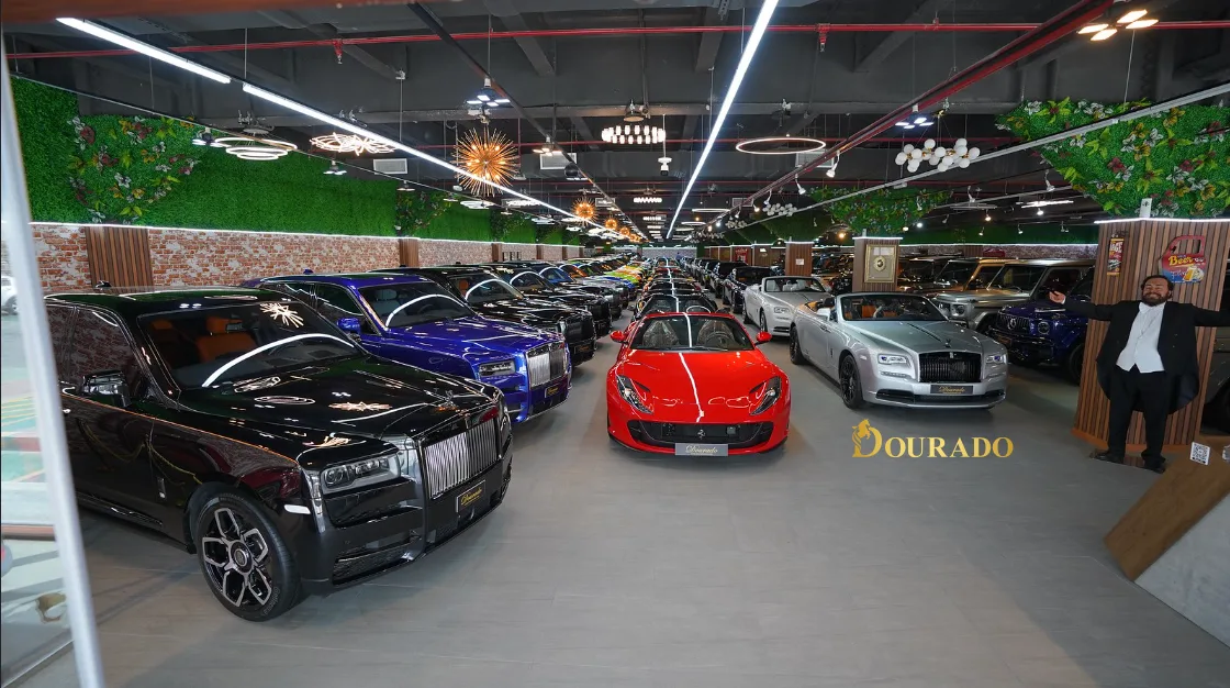 Elite Supercars at Luxury Car Showroom