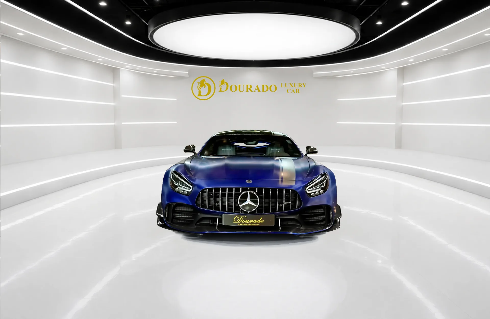 Purchase Elite Craftsmanship Mercedes-AMG GT R Pro Masterpiece
